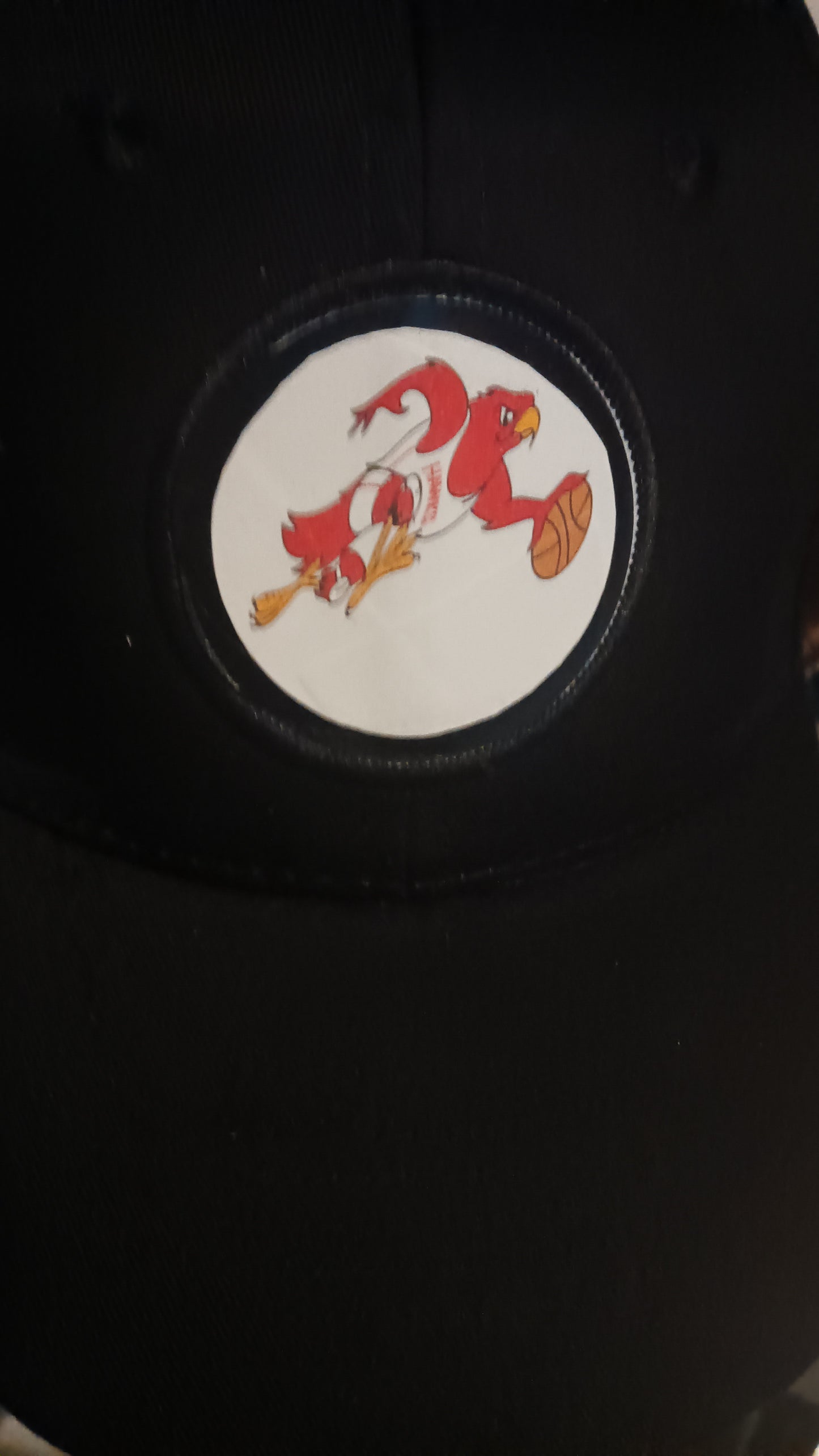 ATL Hawks Unisex Adjustable Baseball Cap for Adults/ Teens