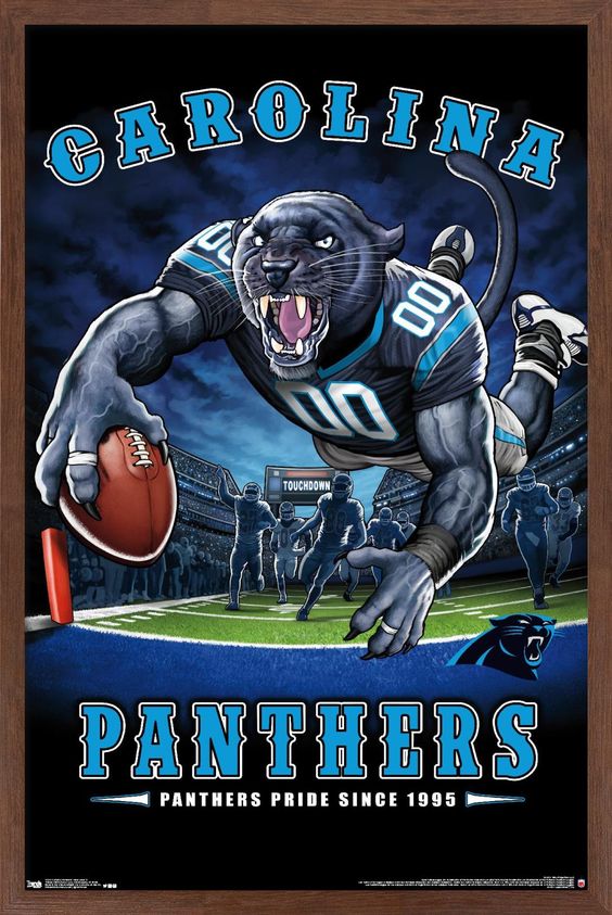 C. Panthers Waterproof Vinyl Stickers